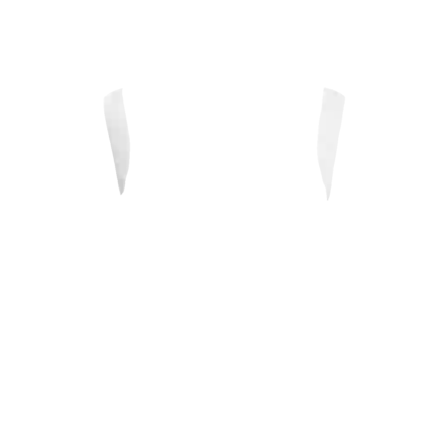 Shoulders