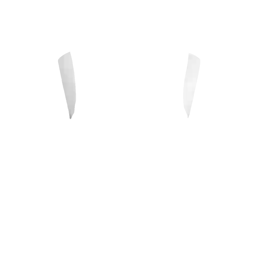 Shoulders